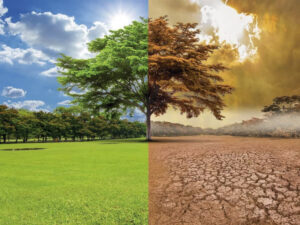 Alfabetización ambiental: una tarea urgente